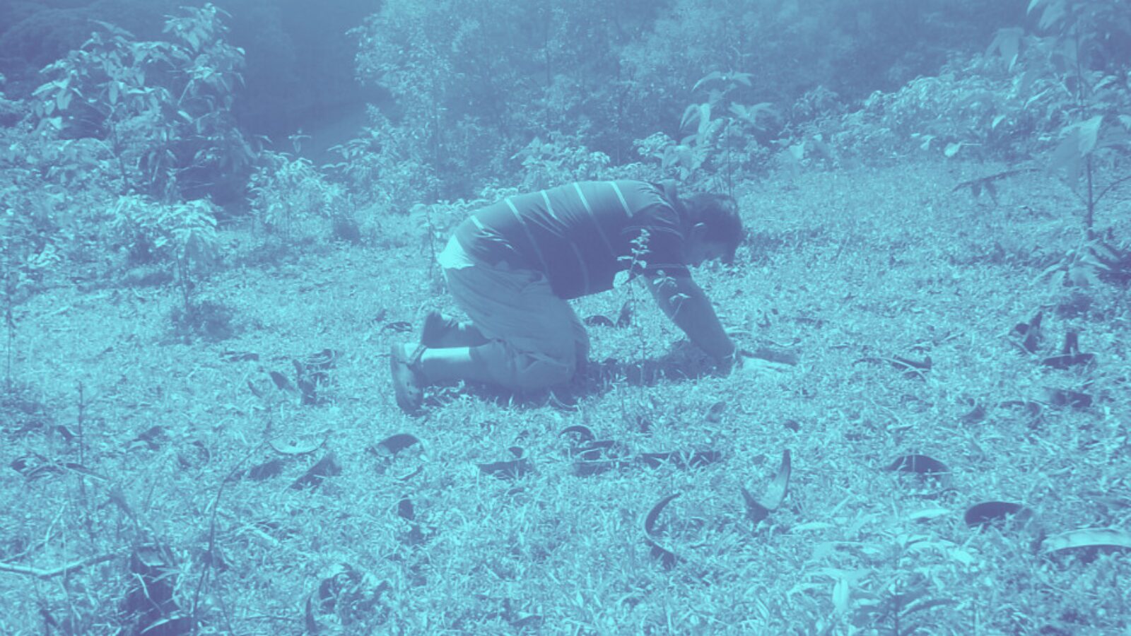 Diseño sin título (10)